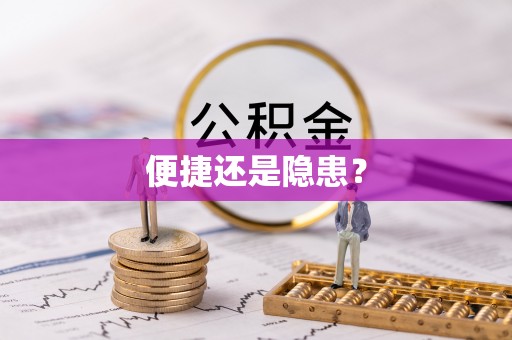 霍尔果斯便捷还是隐患？